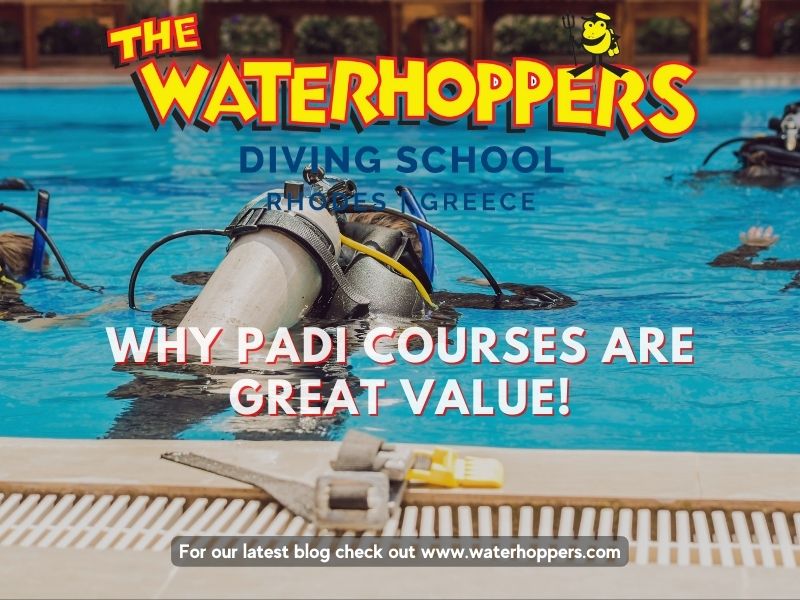 Why PADI Courses are great Value